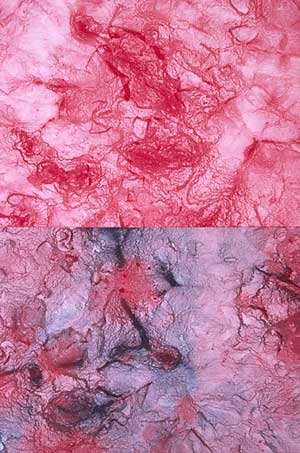 Painted fabric by Melody Crust